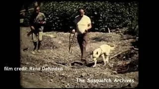 Blue Creek Mountain Sasquatch Tracks Investigation (Aug 1967)