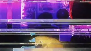 Linger (Music Video)