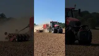 Case IH Optum 270 ❤️       #caseih #caseihagriculture #czech #case #foryou #agriculture #optum #270