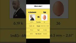 Where is the egg ?