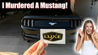Установка комплекта тонировки задних фонарей и фар Luxe Auto Concepts 15+ Mustang (темно-дымчатый...