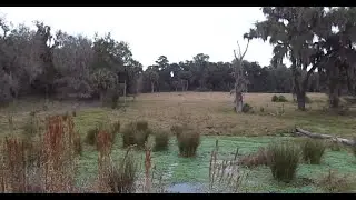 Alachua Ambush! Forgotten Stories of the Seminole War in 1840