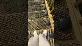 Fake jump. Tutorial?