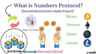 What are the features of Numbers Protocol (NUM)?