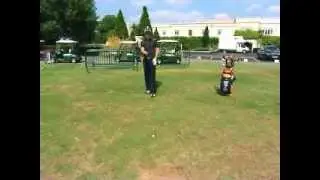 Pre-Shot Routine Golf Tips From Justin Rose
