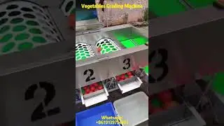 How to Improve Accurate Classification and Economic Efficiency with Vegetable Grading Machine?