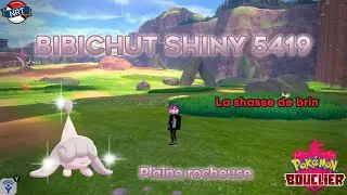 La shasse de brin - Bibichut shiny 5419