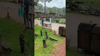 The Screaming ATTACK Monkeys of Angkor Wat