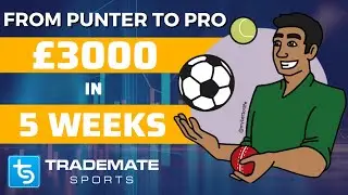 My Journey from Punter to Professional Sports Bettor | Making £3k in 5 weeks using Trademate