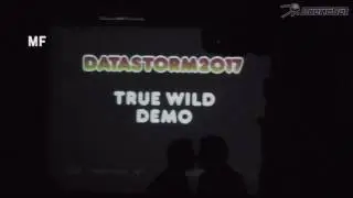 Datastorm 2017 - Datastorm, Datastorm, Datastorm....