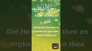 Surah Ad-Duha | Quran Reflection | With TranslationAdd a heading