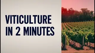 Viticulture in 2 Minutes