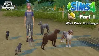 Meet the Pack 🐺 | Sims 4 Console - Wolf Pack Challenge | Part 1