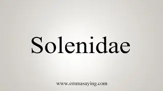 How To Say Solenidae