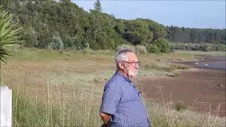 FLAMINGOS NA LAGOA DE ÓBIDOS BRAÇO DA BARROSA 13 07 2024