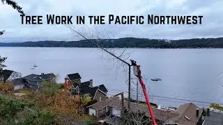 Tree Work In The Pacific Northwest: Filmed with Drones