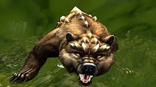An endgame tank that is EASY to level ~ Poison Druid Bear Tank