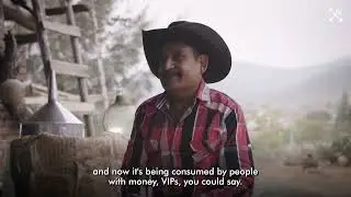 Changes in the mezcal industry with Miguel Diaz Martinez