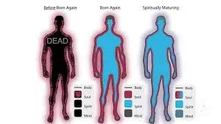 The Truth about Who You Really Are (R$E)