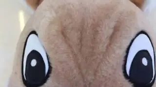 K&auml;nguru Kost&uuml;m 13a Laufiguren Maskottchen Produktion Herstellung (Maskottchen24)