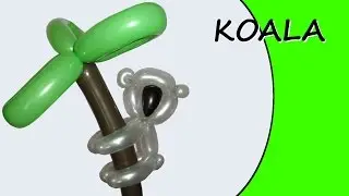 Palloncino modellabile - Koala - Sculture di palloncini @Tronton