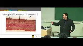 Bison Meat: Colour Matters - Dr. Argenis Rodas-Gonzalez