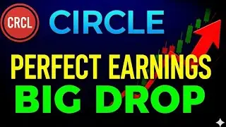 КРАХ Circle Internet (CRCL): рынок отвергает идеальный квартал!