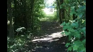 Wandeling door het geuzenbos