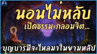 นอนไม่หลับ? เปิดธรรมะกล่อมจิต...บุญบารมีจะไหลมาในยามหลับ