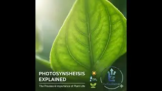 Photosynthesis in Higher Plants : L01 The Early Experiments 