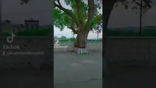 Attock Railway Station
