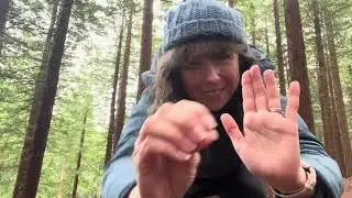 Укрепите свои корни 🌲 Выравнивание чакры красного дерева для глубокого внутреннего роста (ASMR)