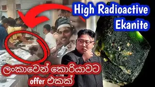 ලංකාවෙන් කොරියාවට offer එකක්  High Radioactive Ekanite Stone @ කොළඹ මැණික් පොළ | Rare Gems Colombo