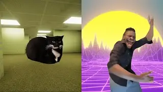 That One Guy vs Maxwell the Cat
