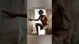 Life 4.3 Million Years Ago | Why Did a Deadly Bee Attack a Human? 😱