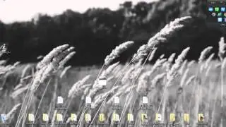 Fixing Kali linux errors