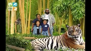 Metro Zoo Miami | Vlog
