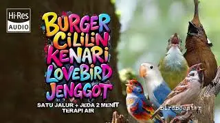 MASTERAN BURUNG ANDALAN MATERI JUARA!!