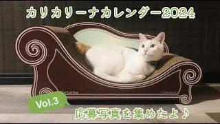 カリカリーナカレンダー2024　応募写真を集めたよvol.3