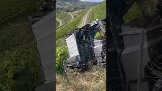 Grape harvesting on steep slopes 🍇 @geier.official #thewinecrate #wine #vineyardlife