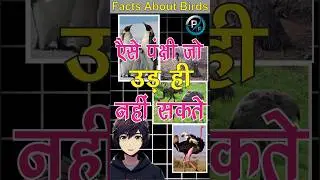 Facts about Birds.... #facts #factsprime #हिंदीfacts #amazingfacts #primefactshindi