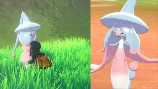 Pokemon Camp FUNNIEST MOMENTS
