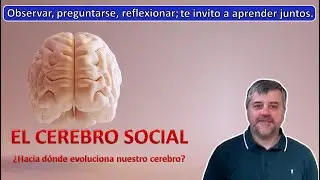 EL CEREBRO SOCIAL #cerebro #brain #thesocialbrain