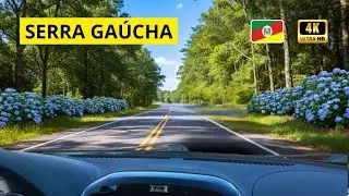 Campos de Cima da Serra à Região das Hortênsias | RS-235 em 4K