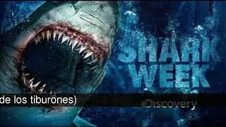20 interesantes series y documentales de Discovery Channel