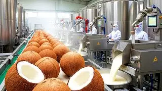 Inside the modern production line: the coconut milk production process | factory production