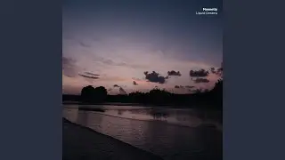Liquid Dreams