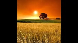 [FREE] Sunny Days | Neo Soul/Blues Type Beat | Calm