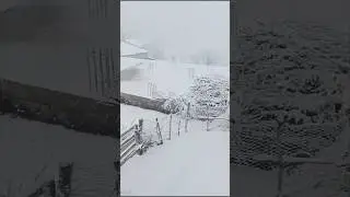 Lost in a Snowy Village &ndash; Winter's Magical Embrace ❄️🏡
