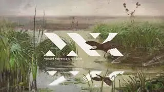 Chełmoński w MNK